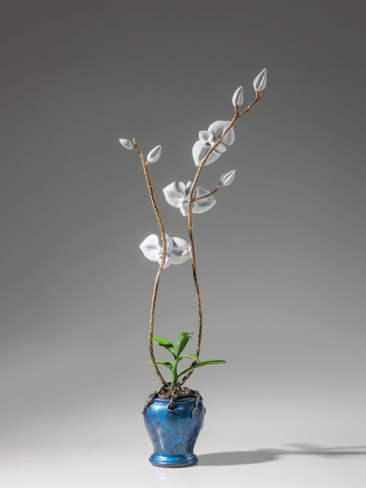 Phalaenopsis - Best Metalcraft