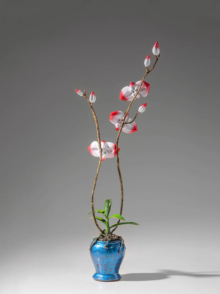 Phalaenopsis - Best Metalcraft