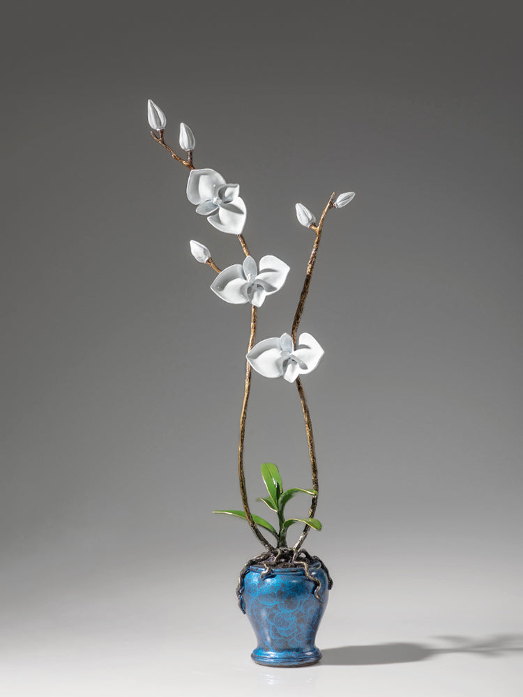 Phalaenopsis - Best Metalcraft